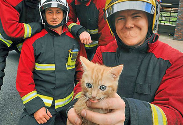 Illustration de l'article :  30 Photoshop fails! Which one is the funniest?