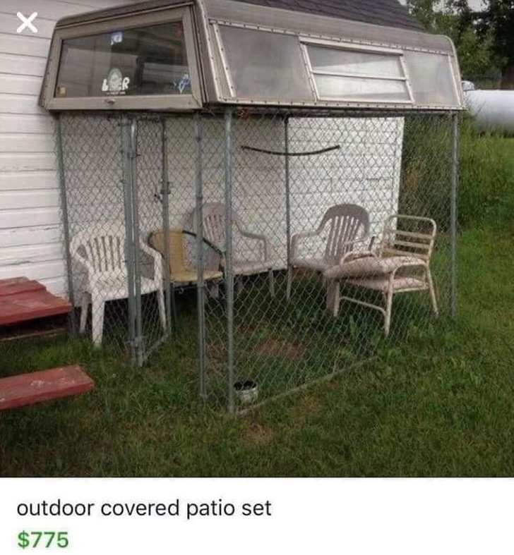 Illustration de l'article : 17 people who live life on their own terms