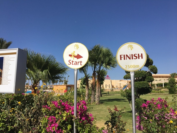 Illustration de l'article : 19 crazy sights caught on camera