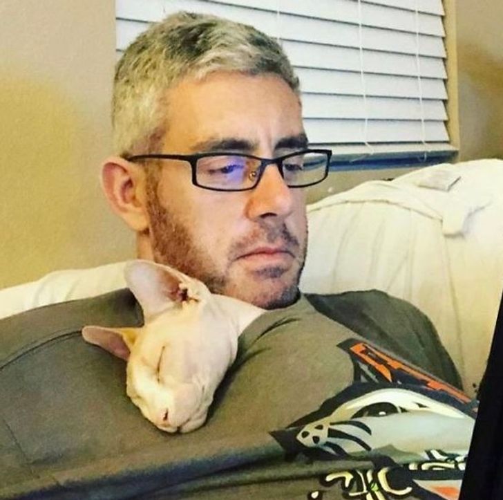 Illustration de l'article : 20 people who were against adopting a pet until this happened