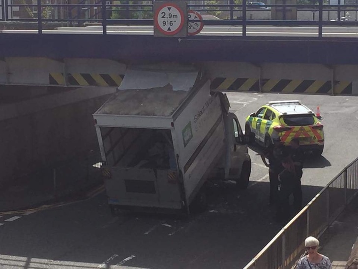 Illustration de l'article : 19 pictures that show life can be cruel (but funny!)