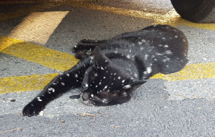 Illustration de l'article : 17 times Mother Nature showed off her works of art