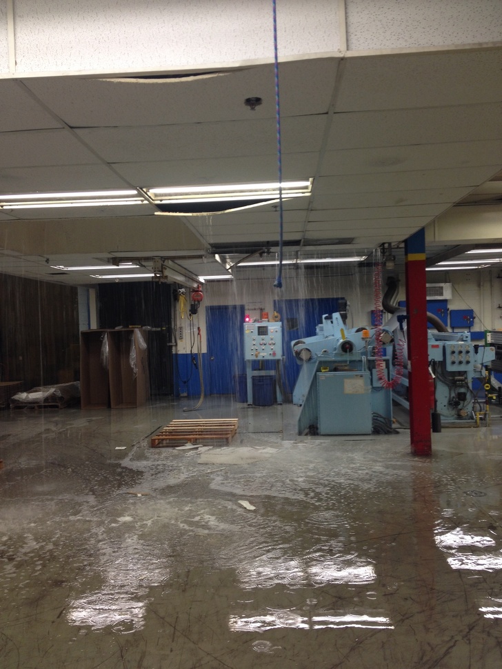 Illustration de l'article : 25 people who certainly had a day to remember