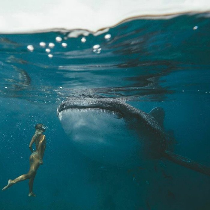 Illustration de l'article : This couple earns up to ,000 per photo on Instagram while traveling, and this is how they do it!