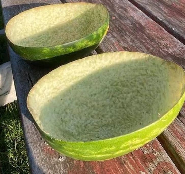 Illustration de l'article : 19 photos that will soothe the fussiest of people