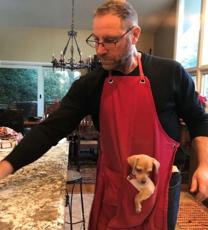 Illustration de l'article : 20 people who were against adopting a pet until this happened