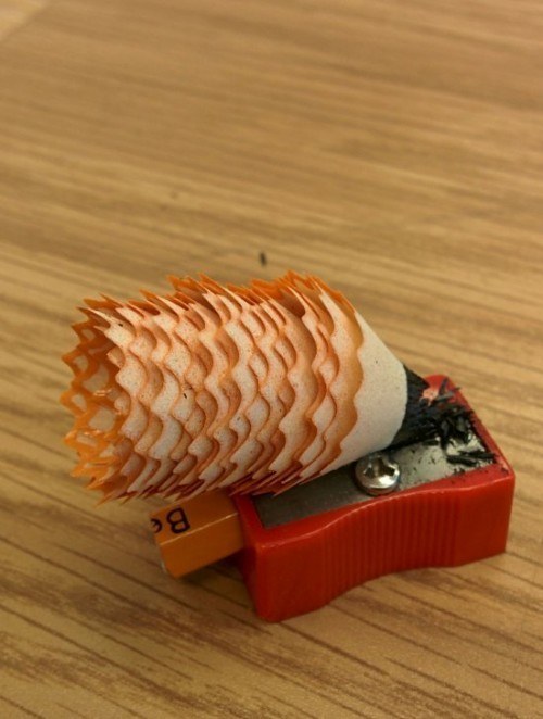 Illustration de l'article : 19 photos that show that being perfect is entirely possible