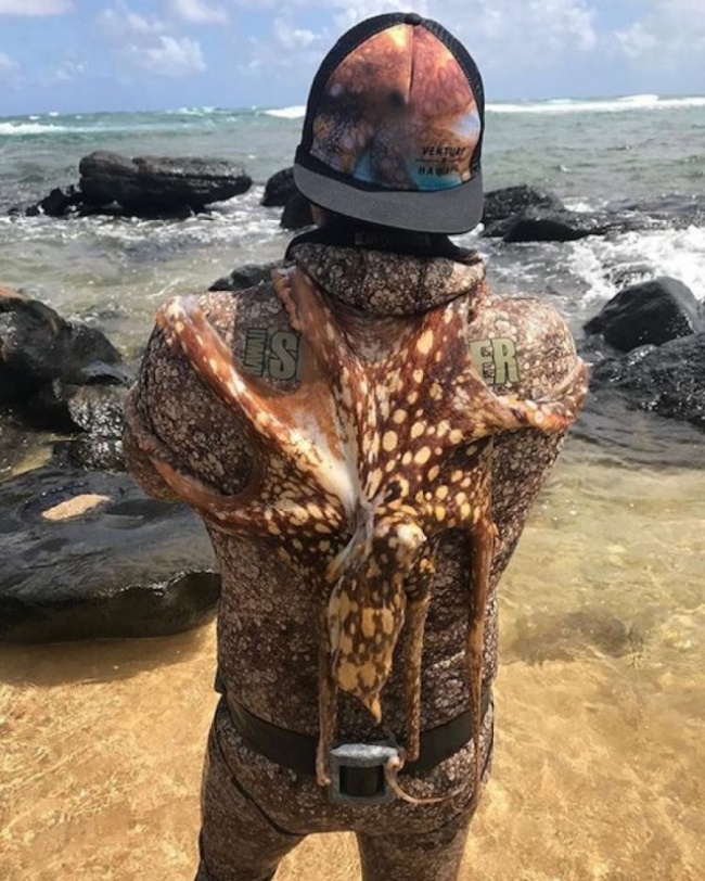 Illustration de l'article : 16 freaky photos guaranteed to blow your mind