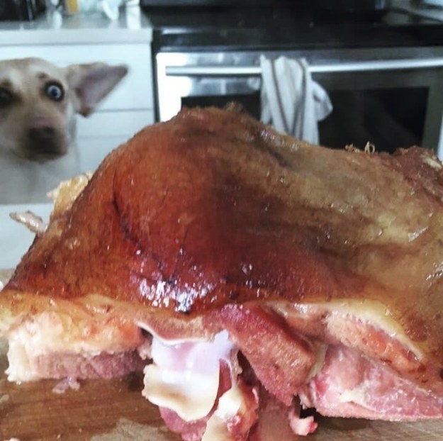 Illustration de l'article : 19 perfectly timed photos
