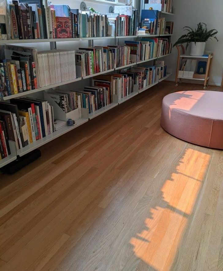 Illustration de l'article : 19 times when someone came across something weird