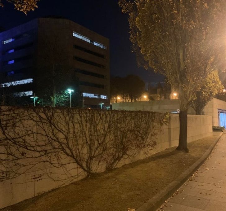 Illustration de l'article : 19 photos of masterpieces in the most unexpected places