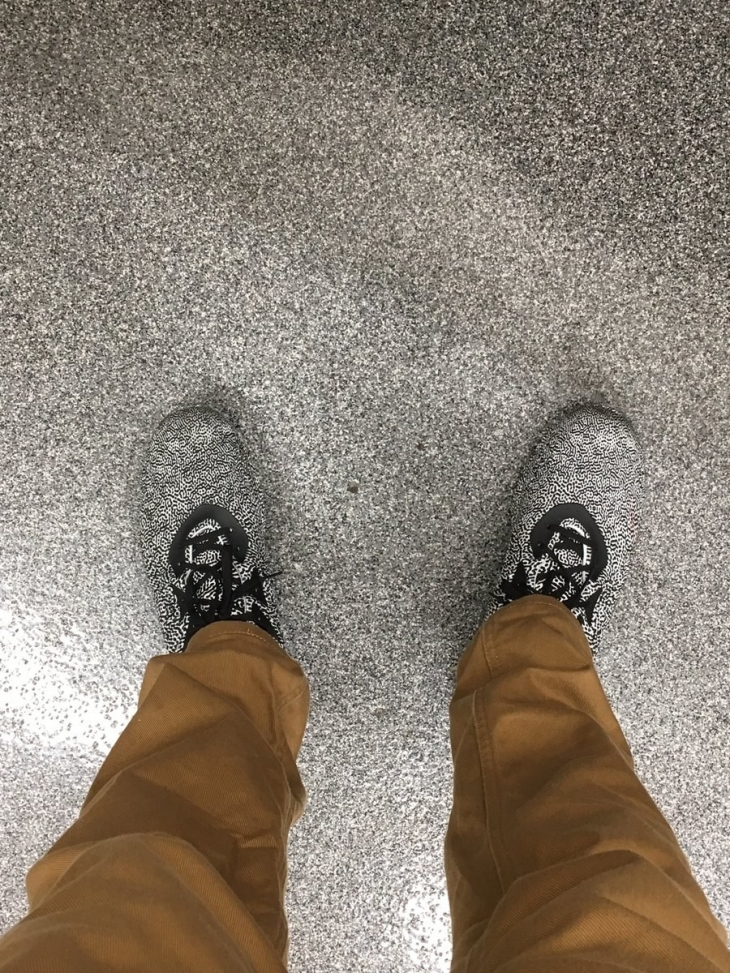 Illustration de l'article : 32 perfect examples of accidental camouflage