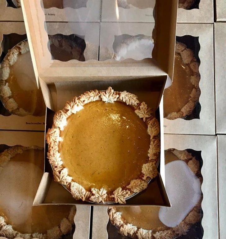 Illustration de l'article : 20 people who had a good 2020 despite the odds