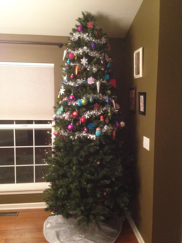 Illustration de l'article : 20 genius ways to stop your pet from destroying your Christmas tree!