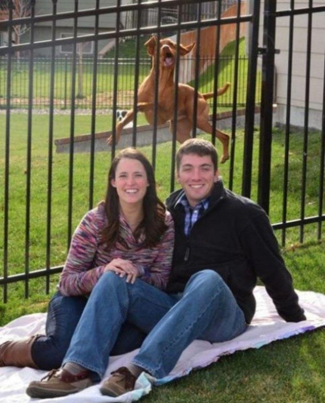 Illustration de l'article : 22 photobombs that took the internet by storm