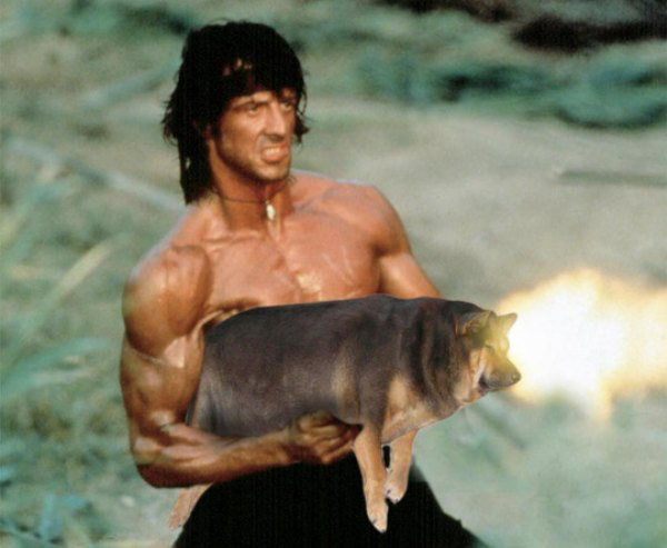 Illustration de l'article :  30 Photoshop fails! Which one is the funniest?