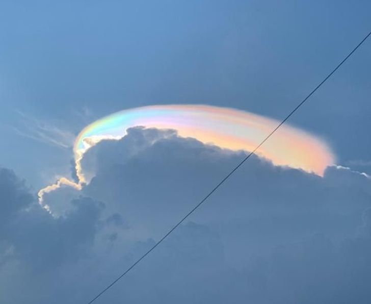 Illustration de l'article : 16 photos that illustrate the beauty and originality of nature