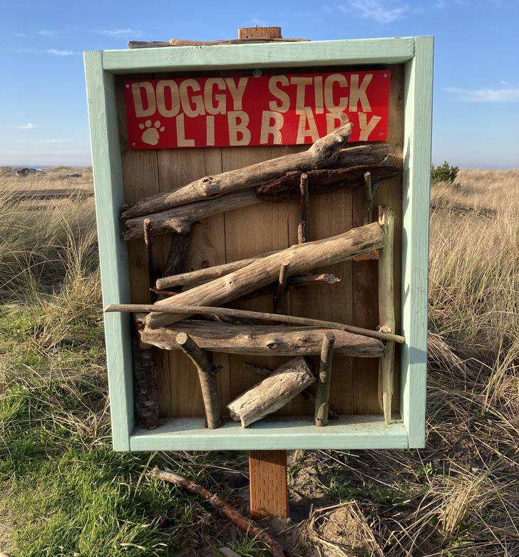 Illustration de l'article : 20 photos of unexpected treasures