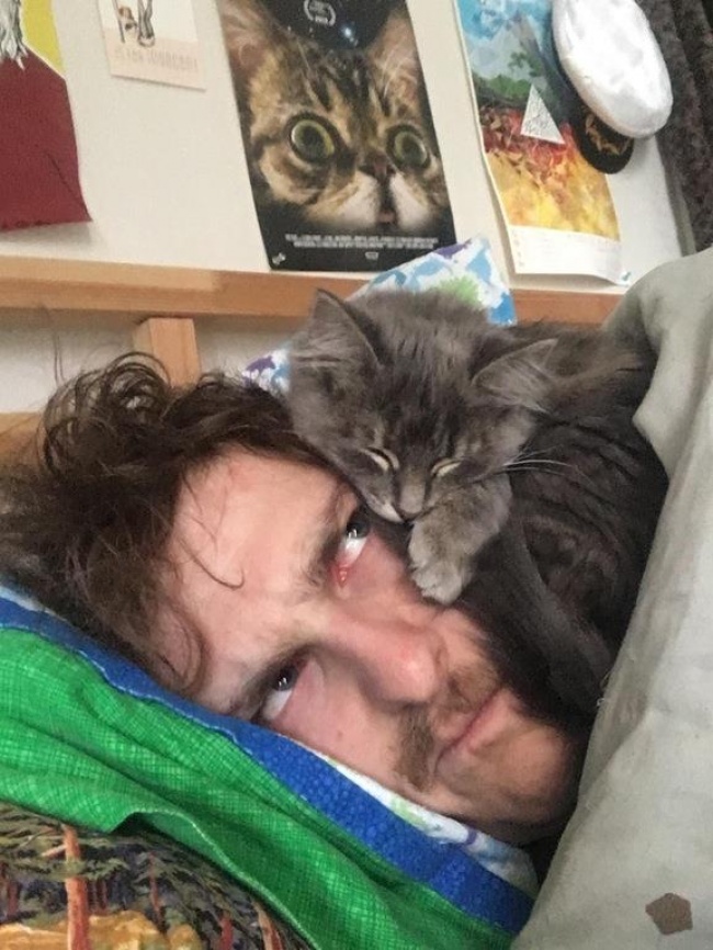 Illustration de l'article : 15 images that show how life with a cat can sometimes be complicated