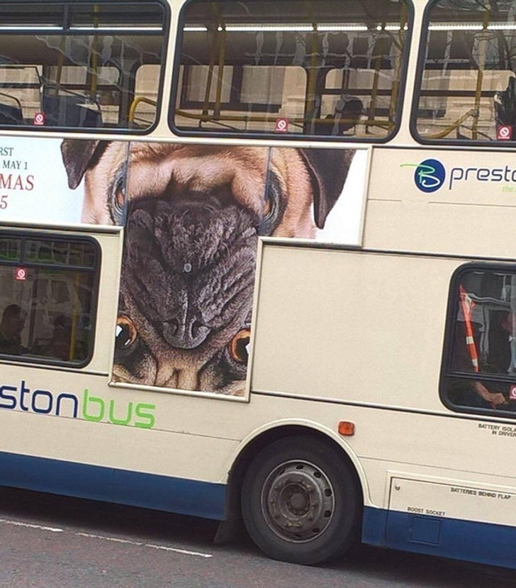 Illustration de l'article : 17 astonishingly bad design and construction fails