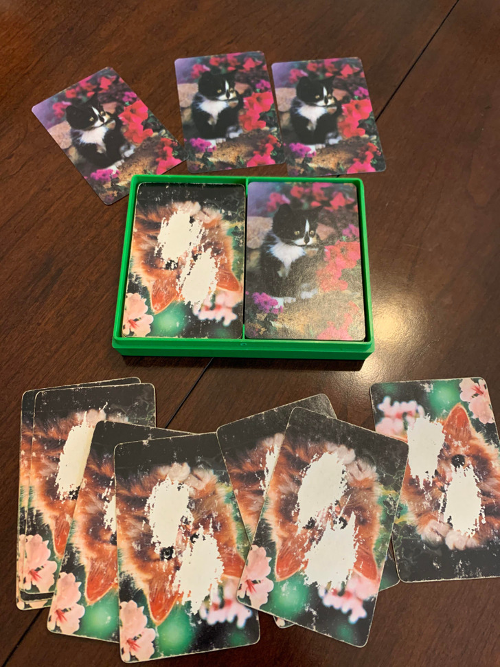 Illustration de l'article : 20 cool old versus new photos