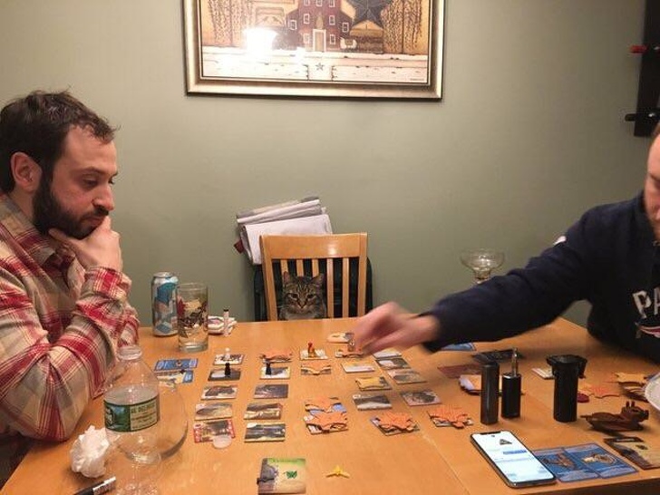 Illustration de l'article : 15 people who have mastered the art of problem-solving