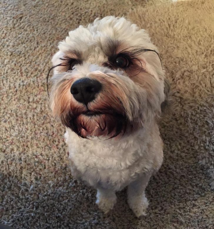 Illustration de l'article : 20 photos that show how marvellous the world around us can be