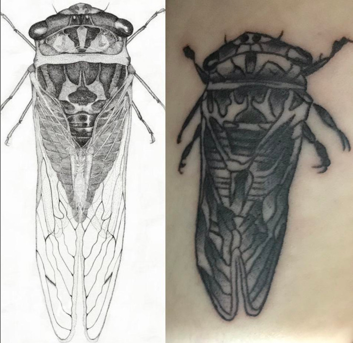 Illustration de l'article : 17 mind-blowing off-beat tattoos