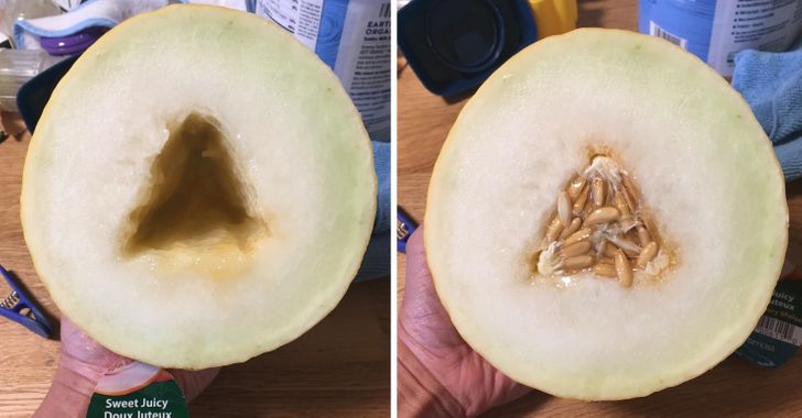 Illustration de l'article : 16 photos that illustrate the beauty and originality of nature