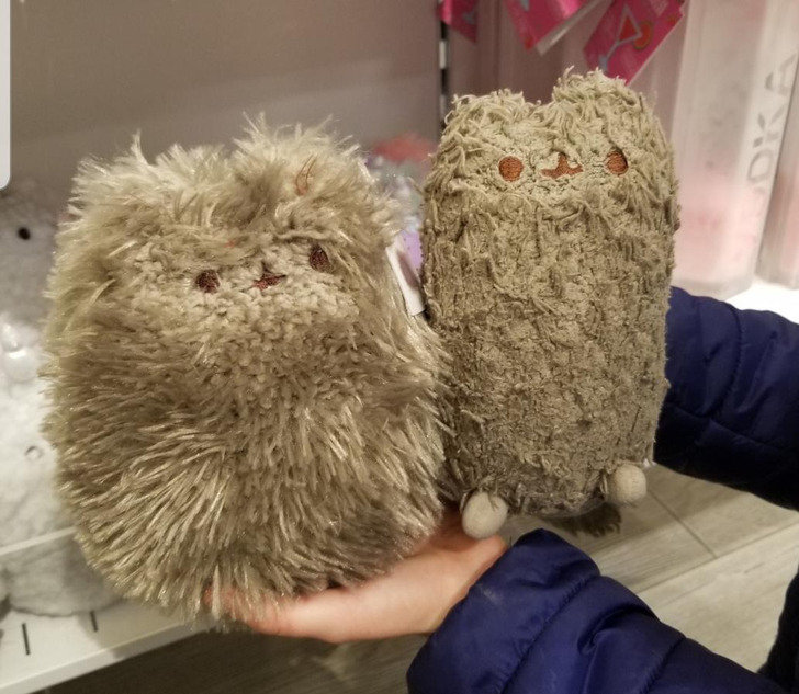 Illustration de l'article : 20 cool old versus new photos