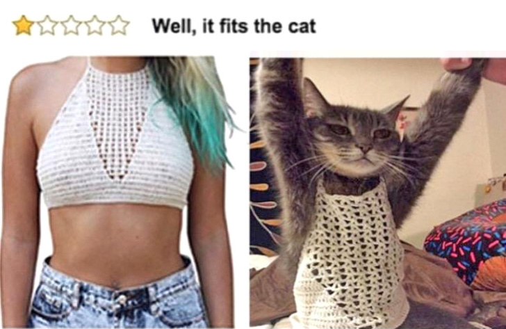 Illustration de l'article : 19 pictures that show life can be cruel (but funny!)