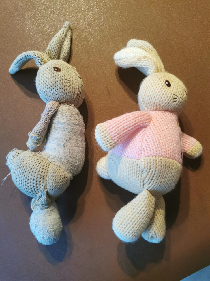 Illustration de l'article : 20 cool old versus new photos