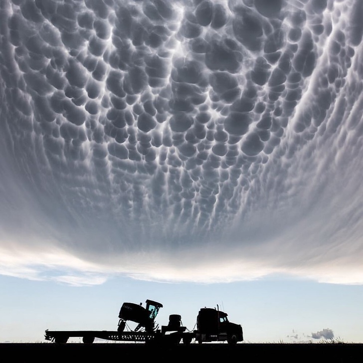 Illustration de l'article : 21 photos that prove we live in a weird and wonderful world!