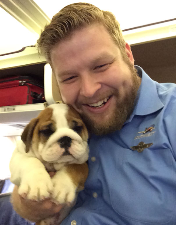 Illustration de l'article : 20 super-cute photos of animals traveling on planes