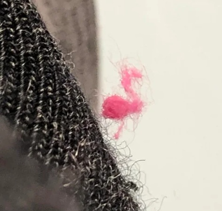 Illustration de l'article : 19 photos of everyday things that will bring a smile to your face