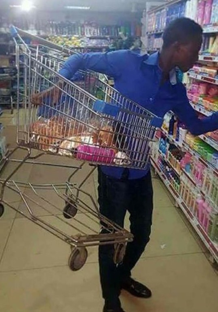 Illustration de l'article : 18 photos that prove some people have really weird ideas