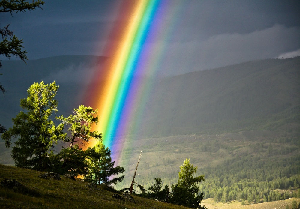 Illustration de l'article : 16 captivating images of the most fascinating natural wonders in the world