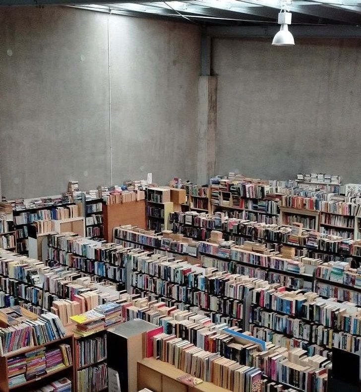 Illustration de l'article : 20 fascinating photos that provide an insight into different professions