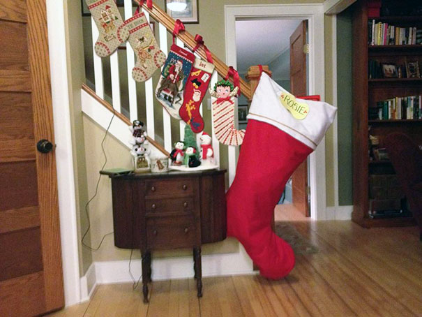 Illustration de l'article : 20 parents who mocked their children in the funniest way