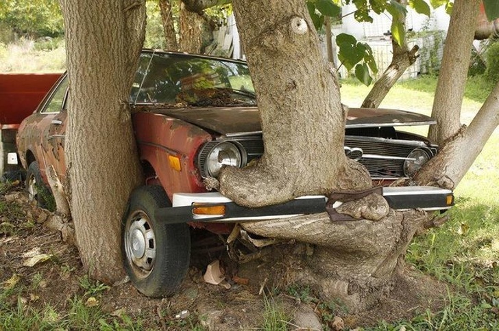 Illustration de l'article : 19 deceptive pictures that show things aren’t always what they seem