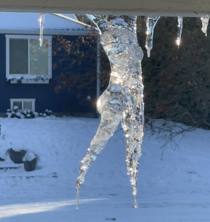 Illustration de l'article : 20 photos that illustrate the beauty of icy winters