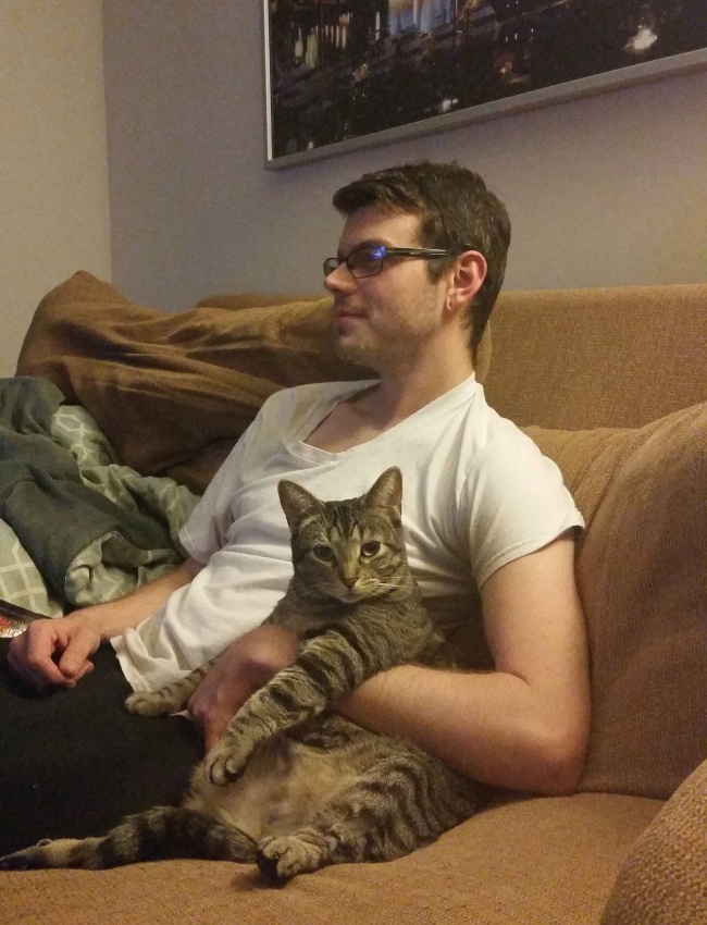 Illustration de l'article : 15 images that show how life with a cat can sometimes be complicated
