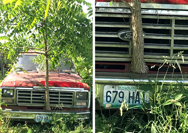 Illustration de l'article : 27 unexpected discoveries found by chance