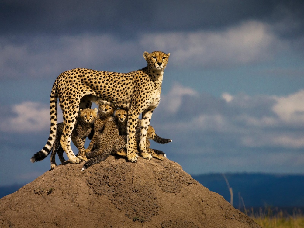 Illustration de l'article : 24 photos that will be hard to forget