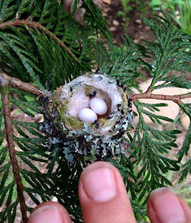 Illustration de l'article : Check out these 21 strange discoveries that deserve a closer look