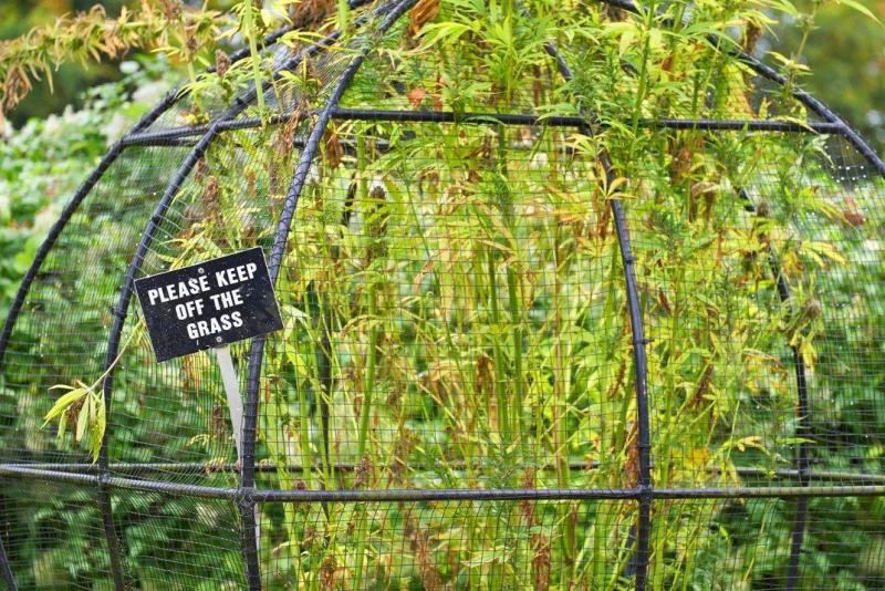 Illustration de l'article : 15 photos of the world's most dangerous garden