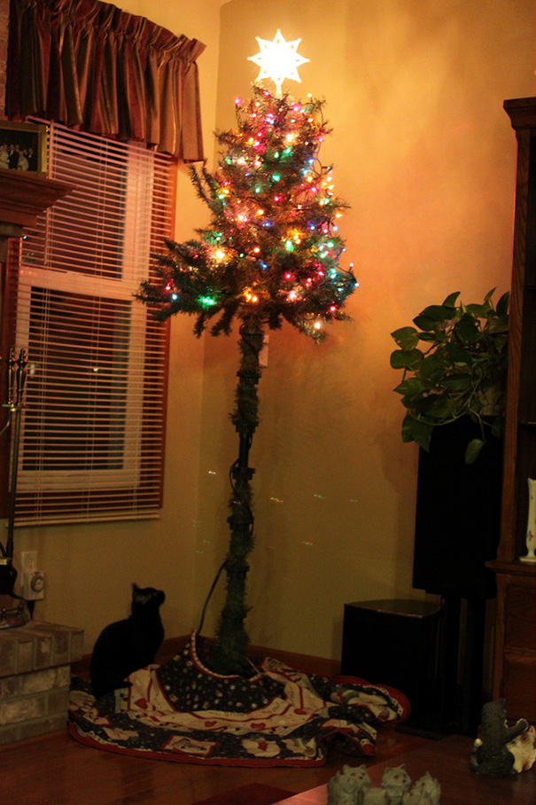 Illustration de l'article : 20 genius ways to stop your pet from destroying your Christmas tree!