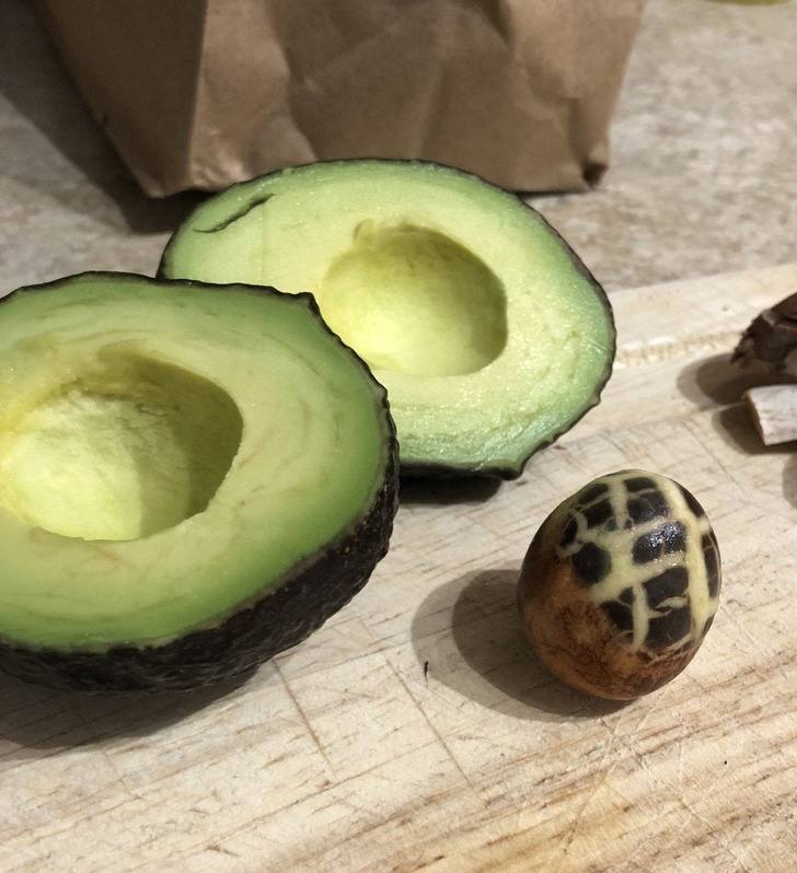 Illustration de l'article : 20 photos of unexpected treasures