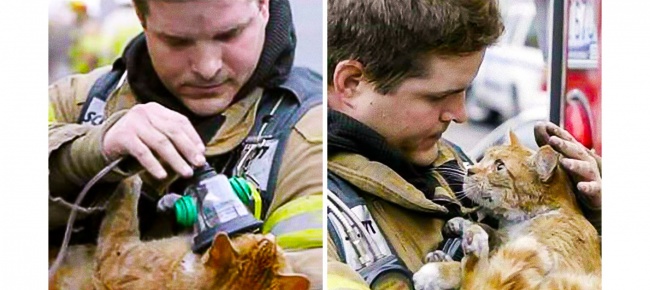 Illustration de l'article : 28 heart-warming acts of kindness that will restore your faith in humanity