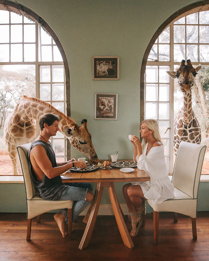 Illustration de l'article : This couple earns up to ,000 per photo on Instagram while traveling, and this is how they do it!